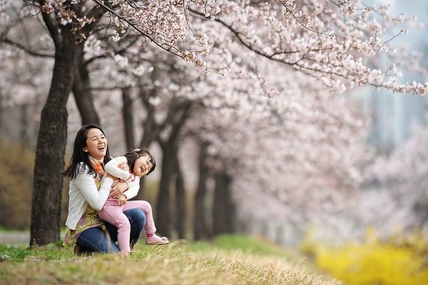 송파구 성내천길