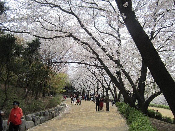 서대문구 안산문화쉼터